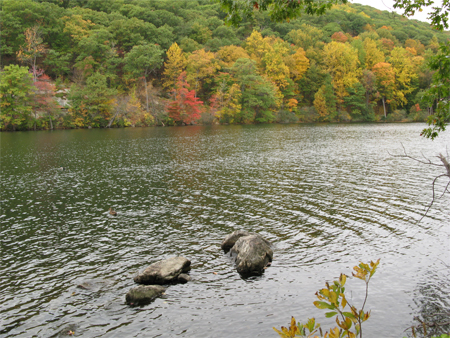 upstate new york