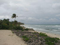 Grand Cayman - Caribbean