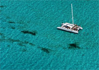 Grand Cayman - Caribbean