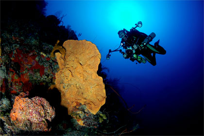 British Airways - Grand Cayman - Caribbean