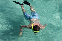 Grand Cayman - Caribbean