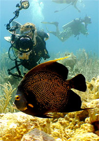 Grand Cayman - Caribbean