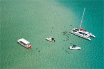 Grand Cayman - Caribbean