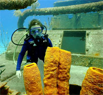 Grand Cayman - Caribbean