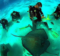 Grand Cayman - Caribbean