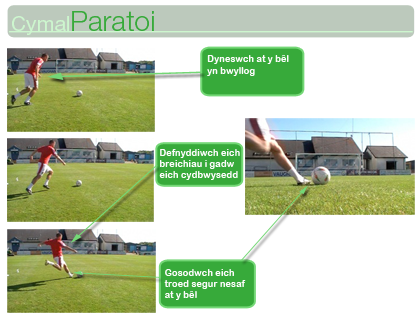 Crymanu'r Bêl- Cymal Paratoi