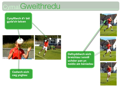 Penio - Cymal Gweithredu