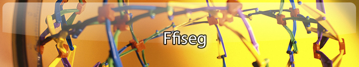 Ffiseg