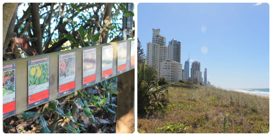 Gold Coast - sustainable tourism 