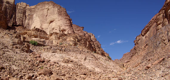 Slide 5
