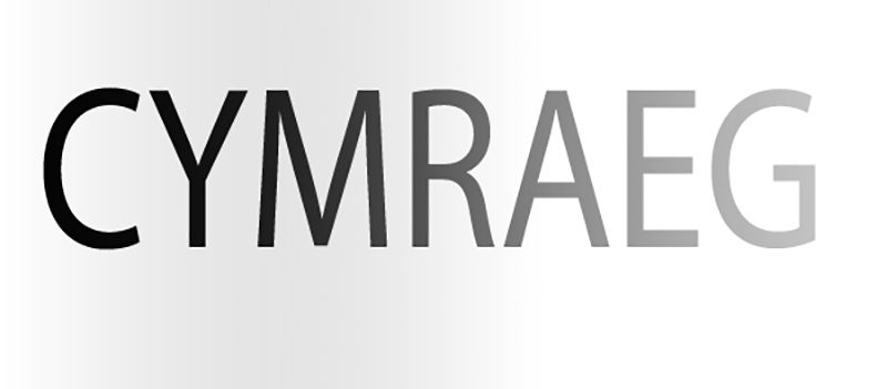 Pa ddyfyniad sy’n perthyn i’r llun?