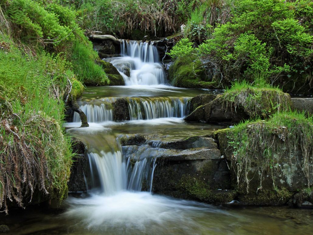 Pa ddyfyniad sy’n perthyn i’r llun?