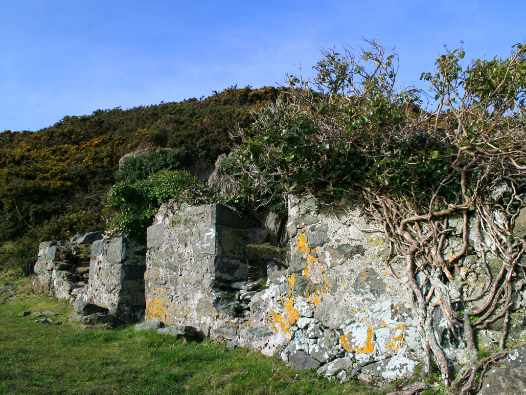 Pa ddyfyniad sy’n perthyn i’r llun?