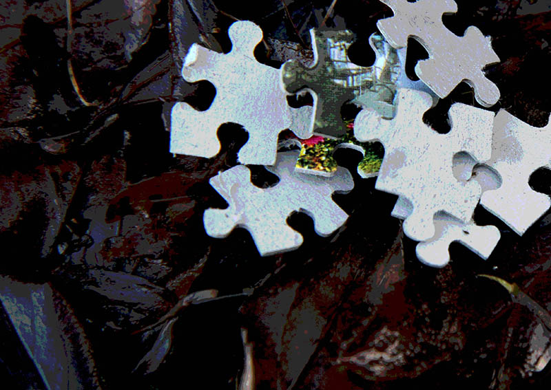 Pa ddyfyniad sy’n perthyn i’r llun?