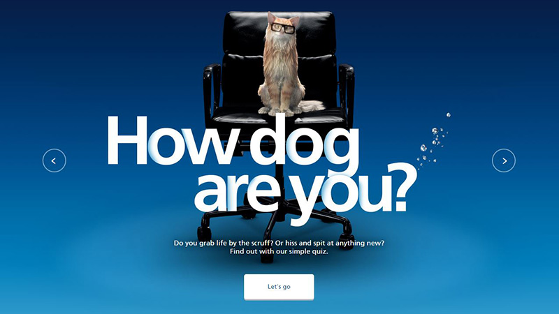 Be More Dog Website