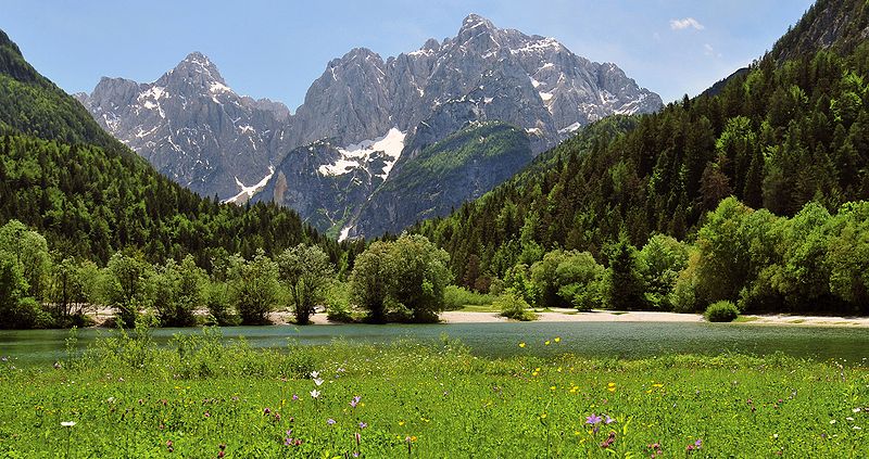 Alps