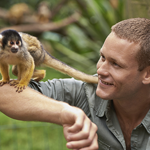 monkey