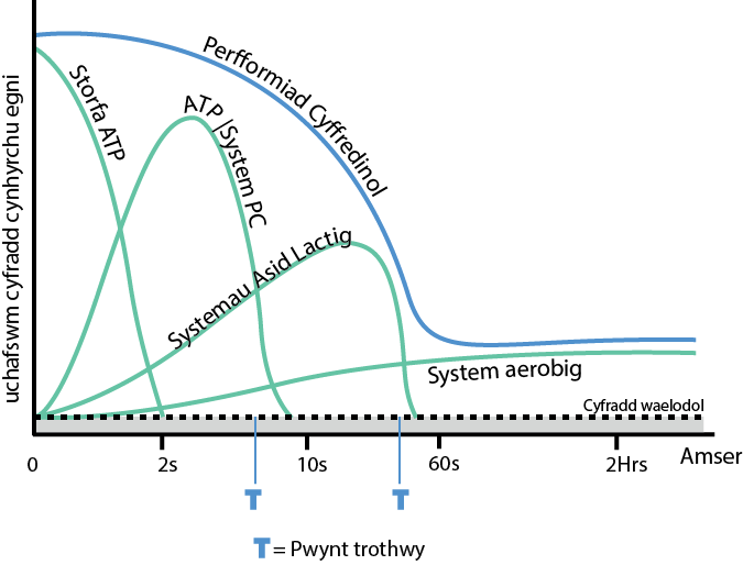 % of maximum rate of energy production