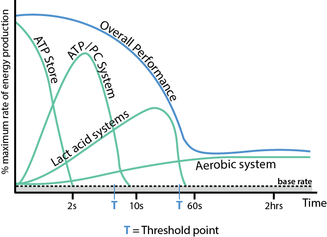 % of maximum rate of energy production