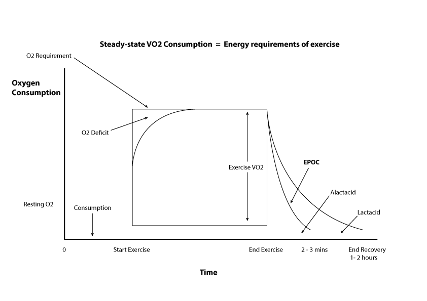 % of maximum rate of energy production