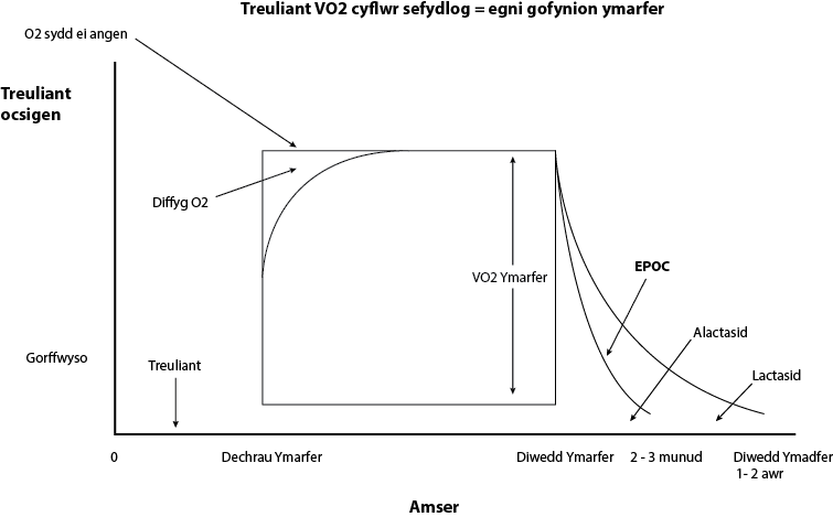 % of maximum rate of energy production