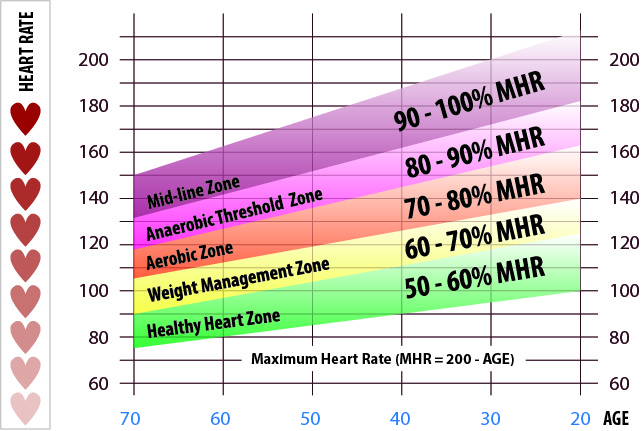 % of maximum rate of energy production