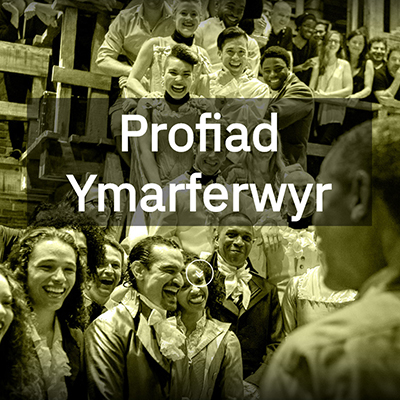 Profiad ymarferwyr