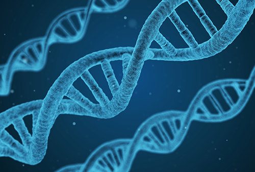 DNA strand