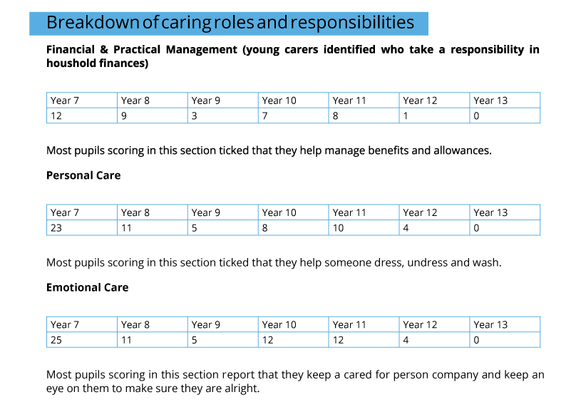 Breakdown of caring roles and responsibilities