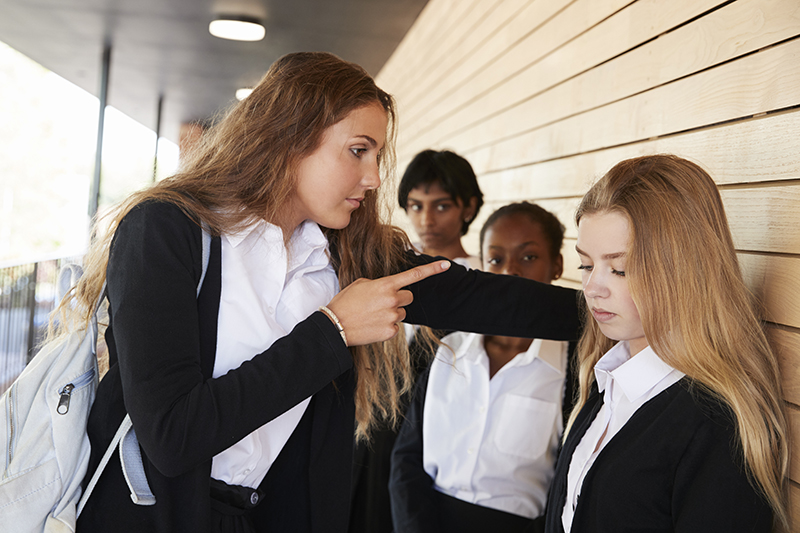 School bullying