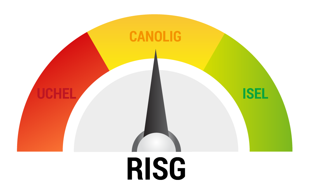 A dial measuring the level of risk
