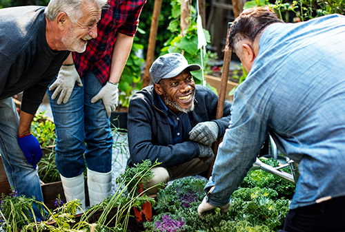 Gardening