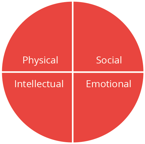 Physical, social, intellectual, emotional graph