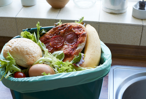 Food waste bin