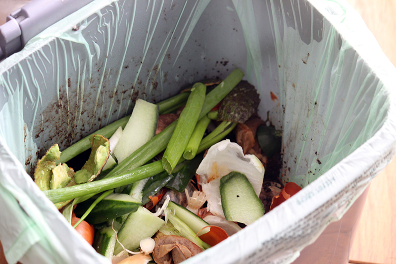 Kitchen waste is properly stored and disposed of