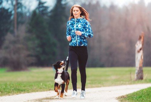 Dog walk