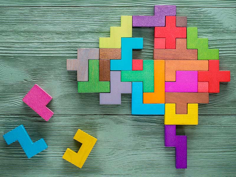 Human brain made from wooden blocks