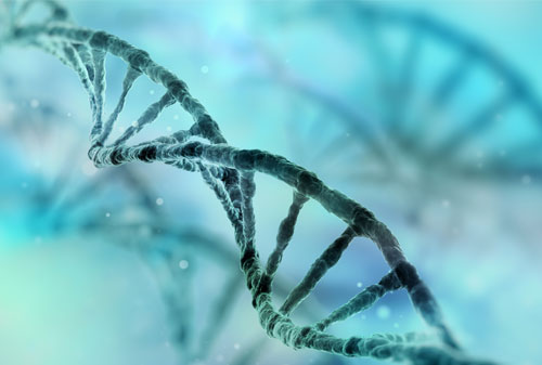 DNA Strands