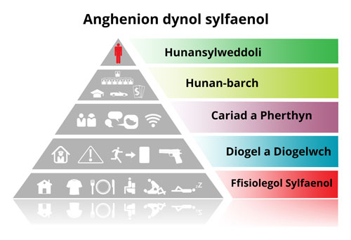 Anghenion dynol sylfaenol