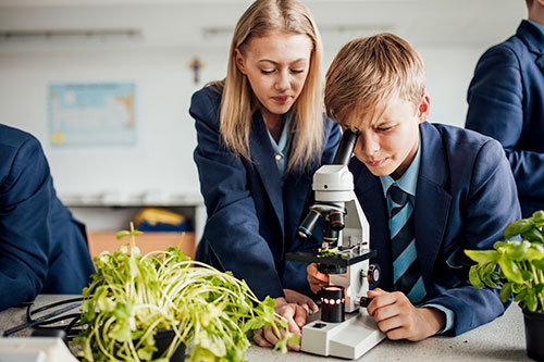Students looking down a mi