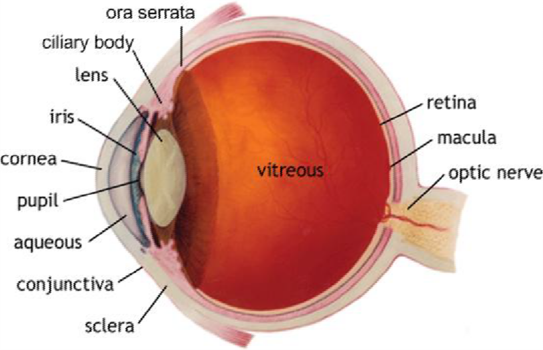 Eye diagram