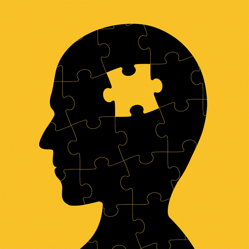Human head puzzle