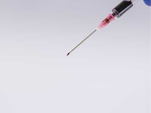 Needle