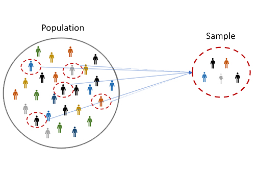 sample size