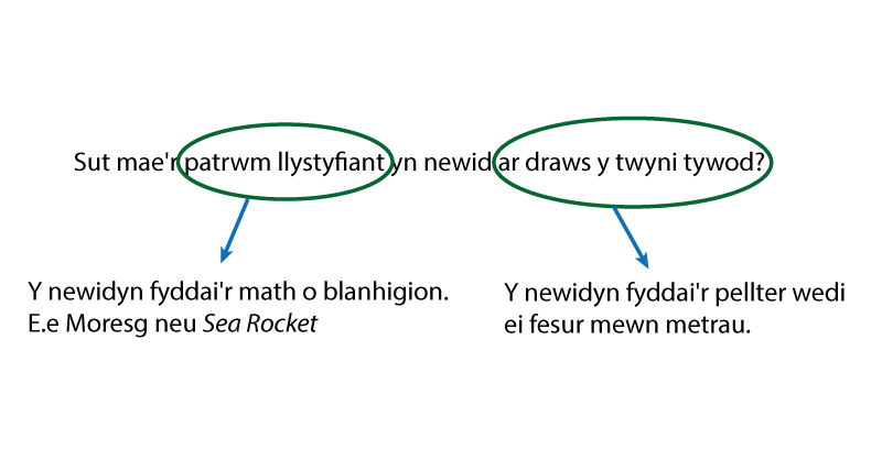 vegitation pattern