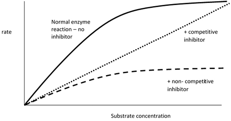 Substrate Versus Competitive Inhibitor Examples Blended Learning