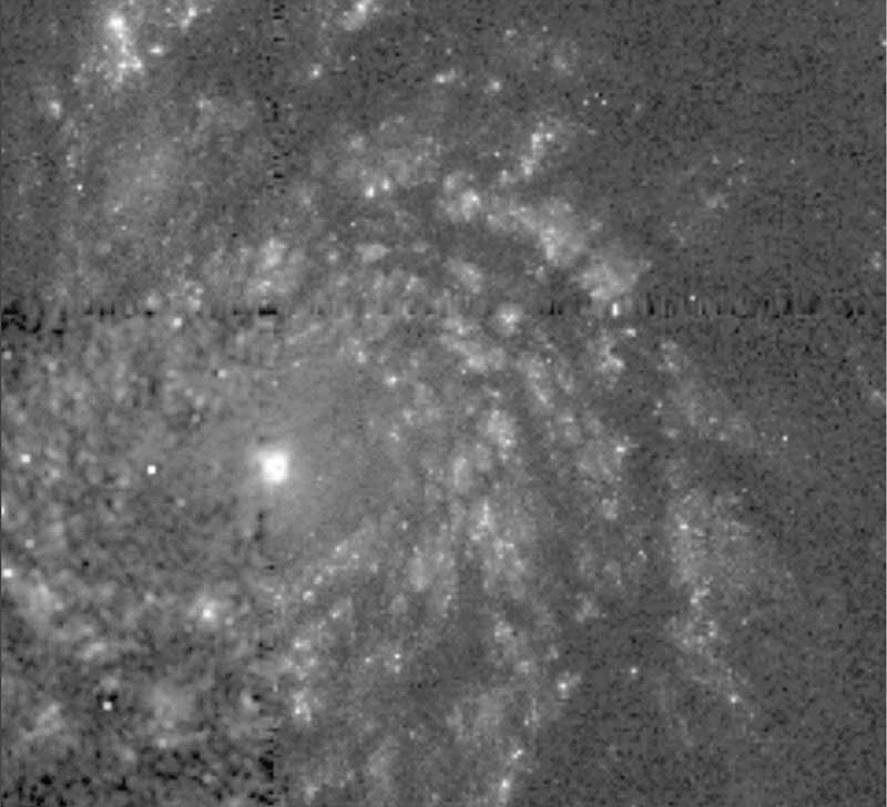 Star Examples Radiography Blended Learning