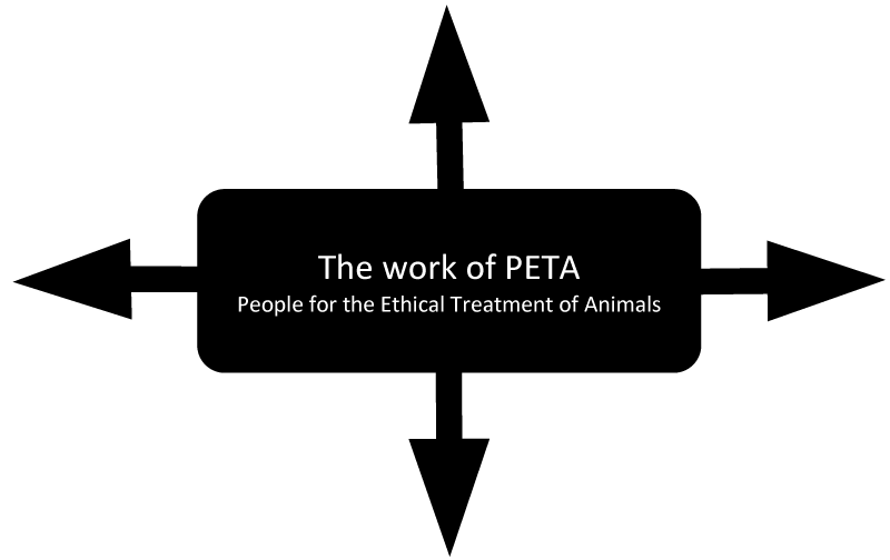 Peta Example Blended Learning