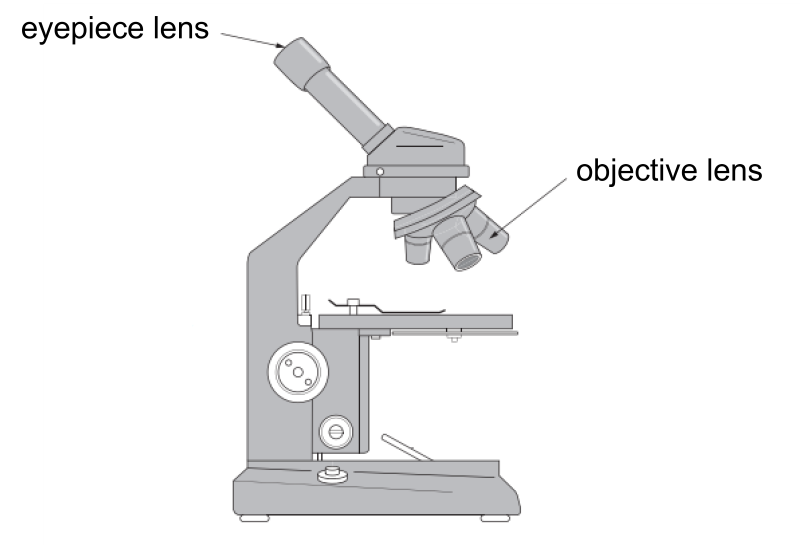 Microscope Magnification System Blended Learning